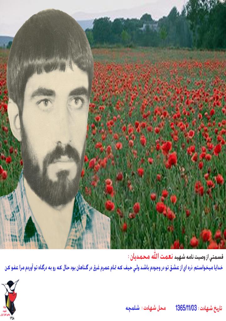 فاقد تصویر